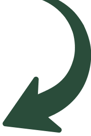 elemento decorativo grafico