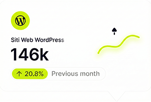 Statistiche WordPress