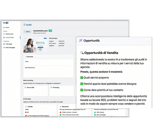 audit SEO automatico Intelligente Lead